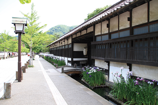 日本遺産 津和野~百景図を歩く~